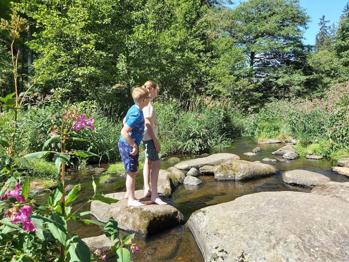 Glamping-Paradies Am Dengler Hof Hohenberg an der Eger Εξωτερικό φωτογραφία